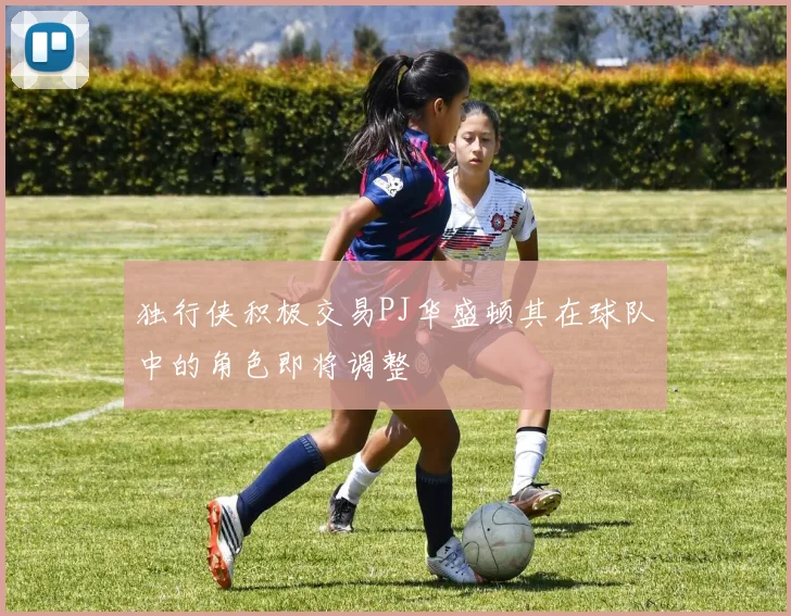 独行侠积极交易PJ华盛顿其在球队中的角色即将调整
